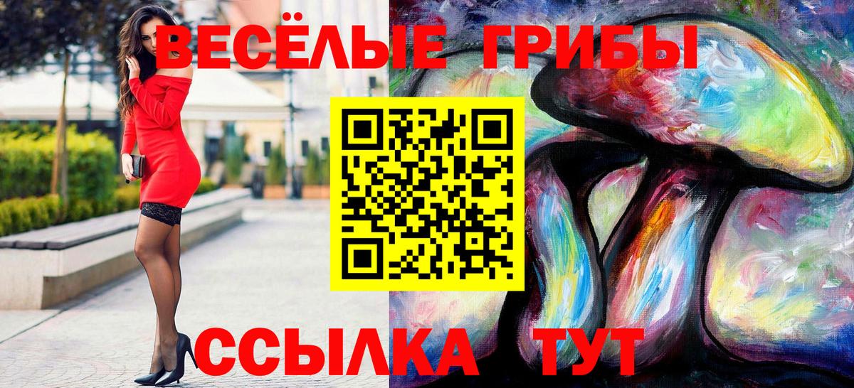 Псилоцибиновые грибы MAGIC MUSHROOMS Кисловодск