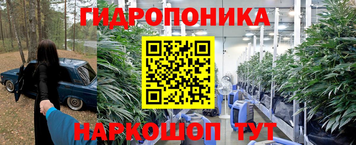 Шишки марихуана марихуана  МАРИХУАНА OG Kush  Вход с VPN  Кисловодск 