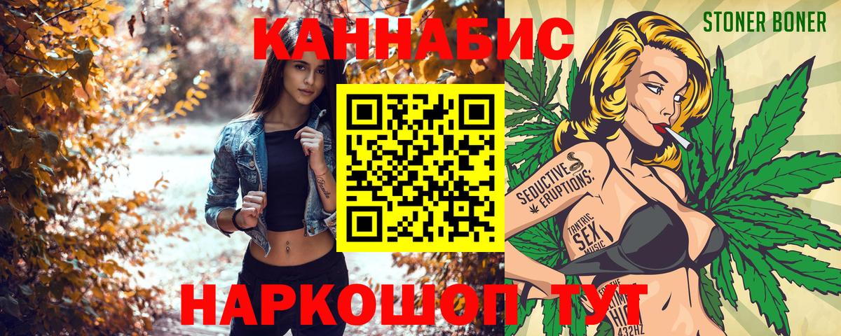 Конопля OG Kush Кисловодск